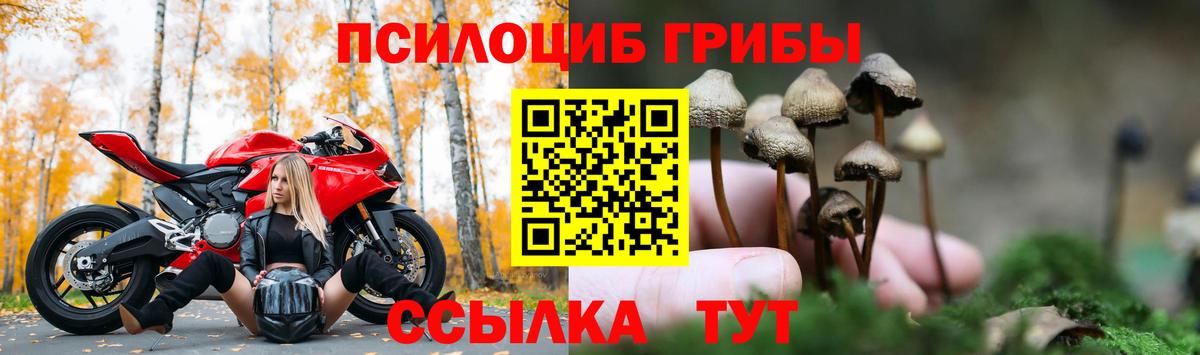 Новый Уренгой  Галлюциногенные грибы мухоморы  Вход с VPN 